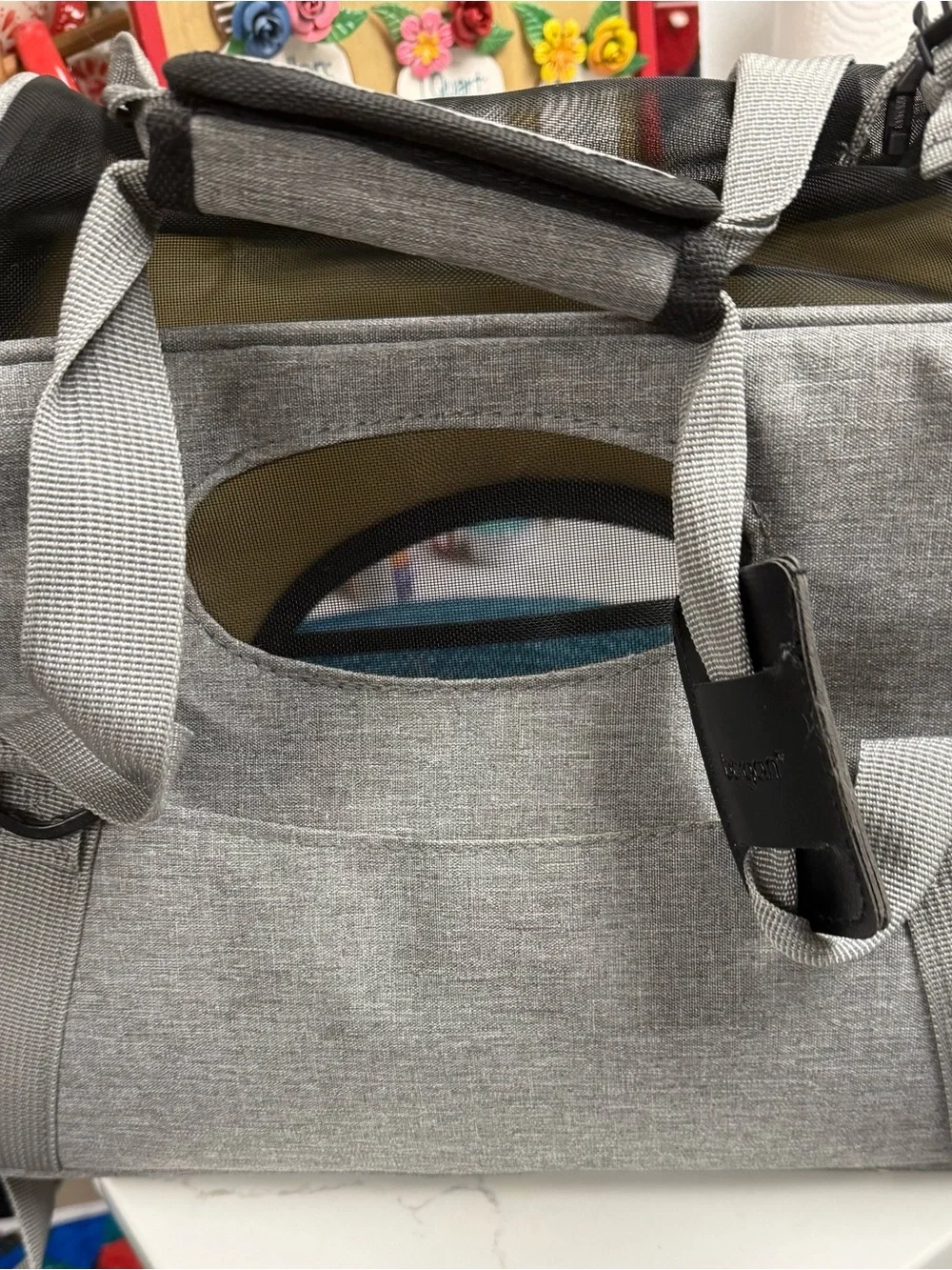 Bergan Comfort Airlines-Approved Dog and Cat Carry Bag